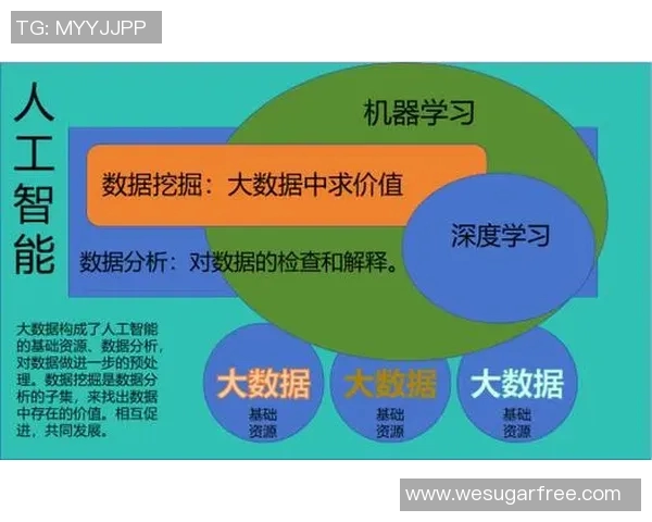 深入解析北京足球队球员个人能力的表现与数据分析