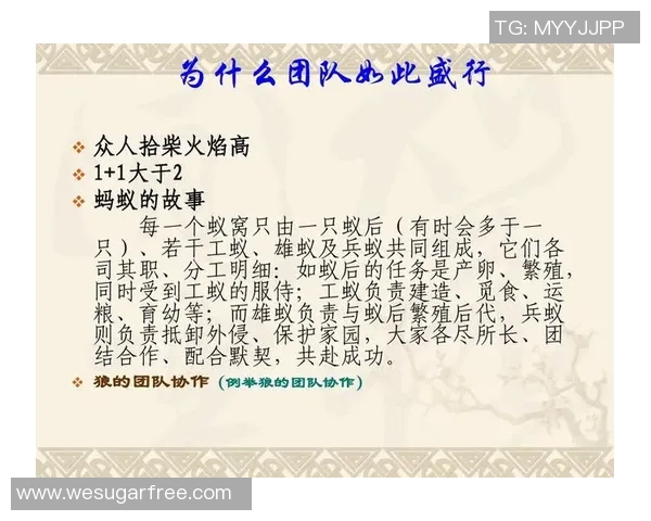 深圳乒乓球队的团队协作之道:凝聚力与默契的完美结合