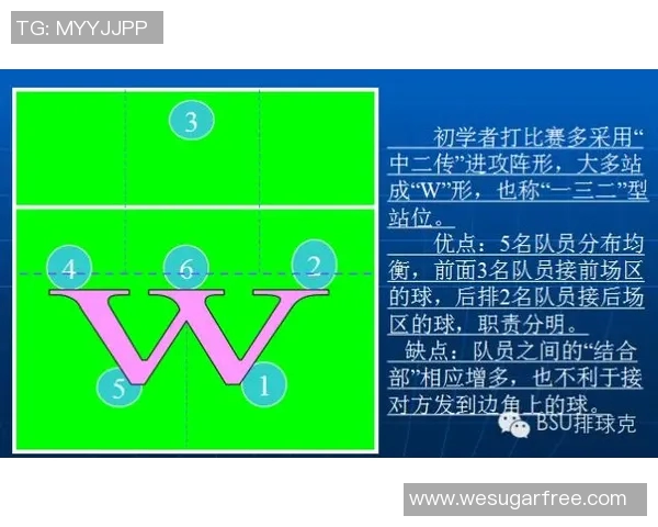深圳排球队边路渗透战术解析与深度剖析排球技术的魅力与挑战