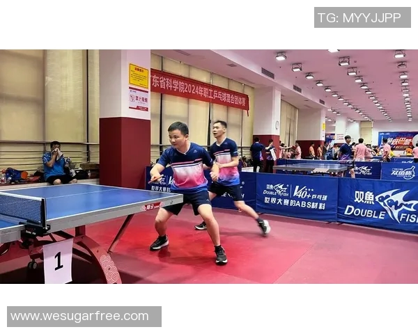 聚焦乒乓球：探讨上海乒乓球队的训练节奏与发展策略